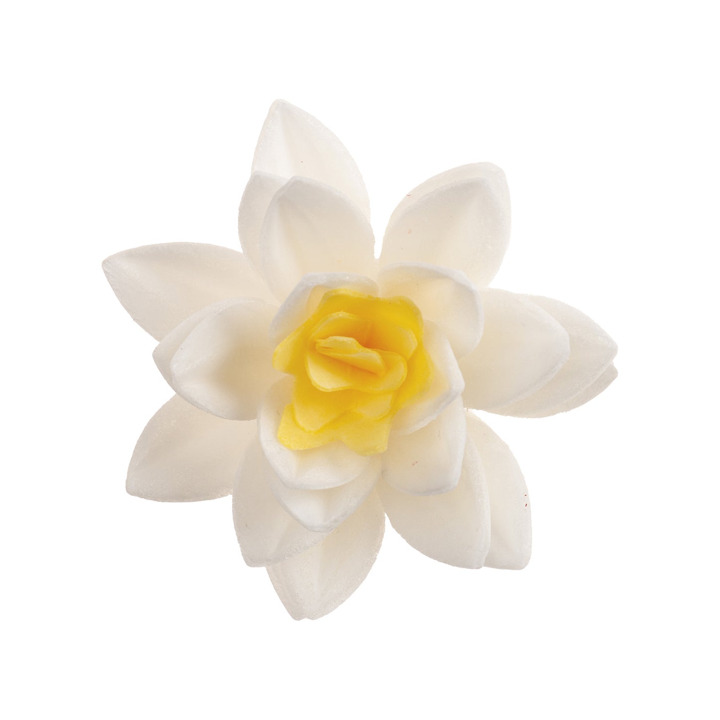 WHITE WAFER FLOWERS XCM