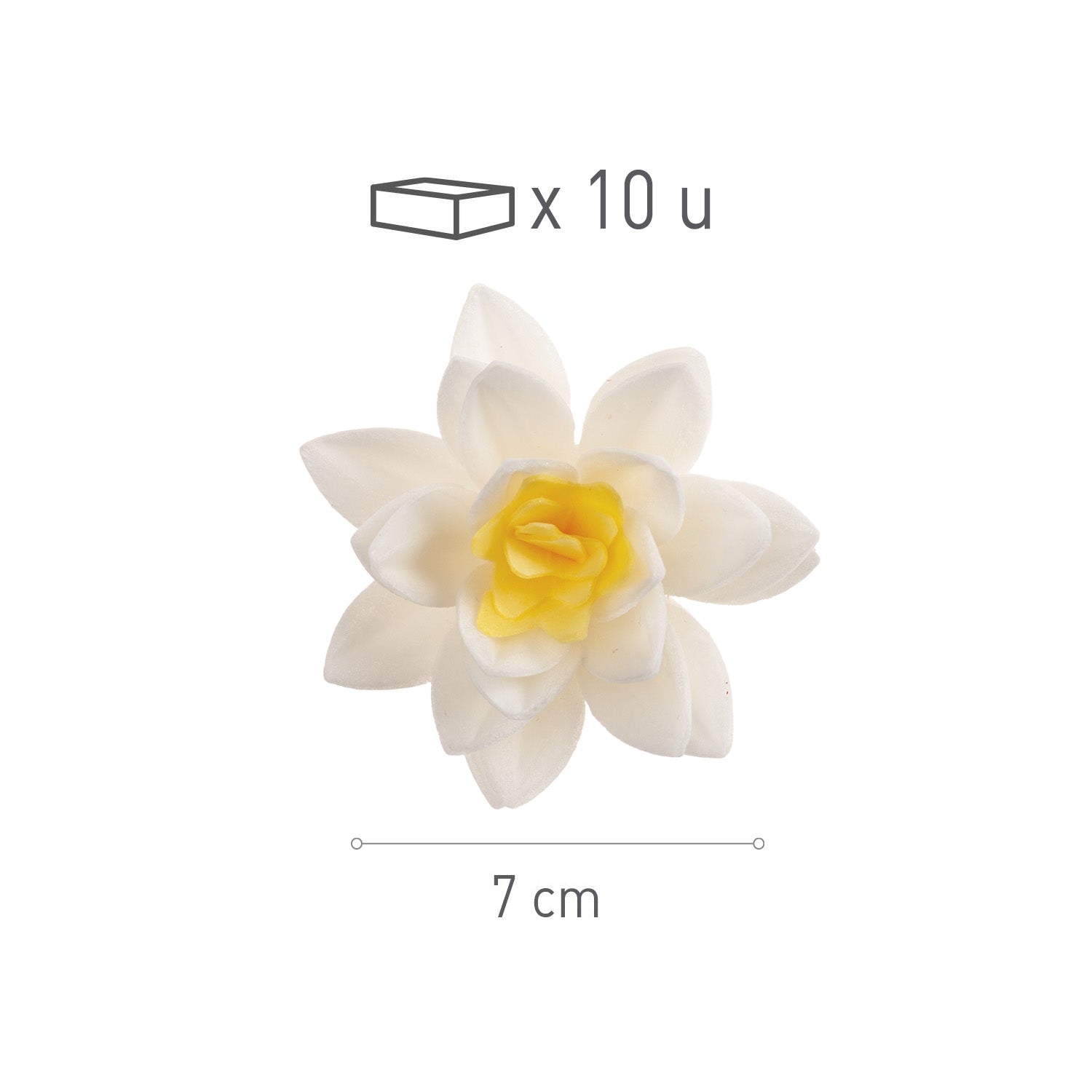 WHITE WAFER FLOWERS XCM