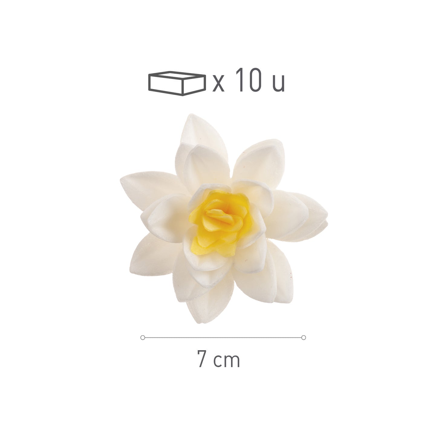 WHITE WAFER FLOWERS XCM