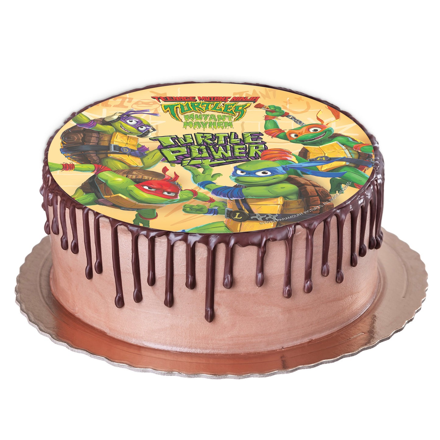 DISQUES EN AZYME DÉCO GÂTEAUX TORTUES NINJA 20CM