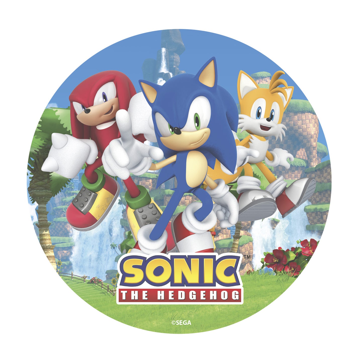 DISCHI CIALDA TORTA SONIC 20CM