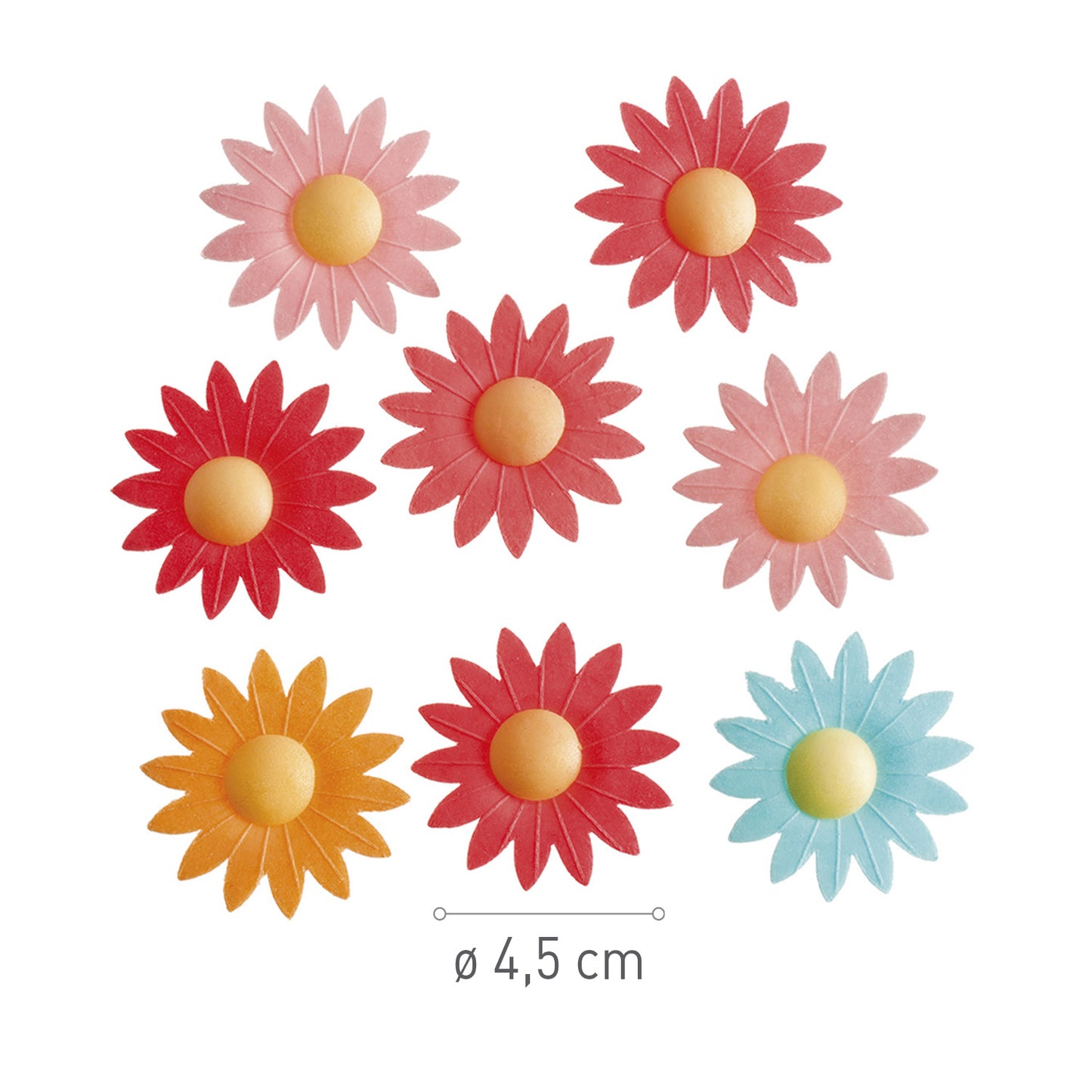 DISPLAY 15 MARGUERITE EN AZYME BLISTER 8UD