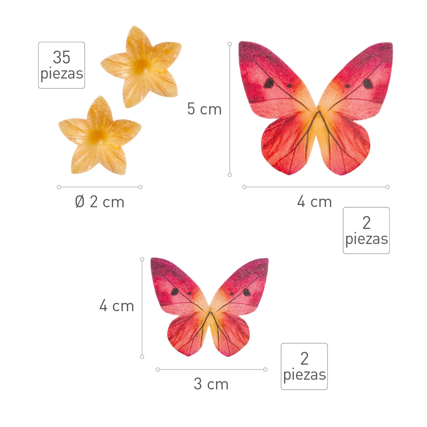 BLISTER MINI FLEURS JAUNES ET PAPILLONS ROUGE EN AZYME