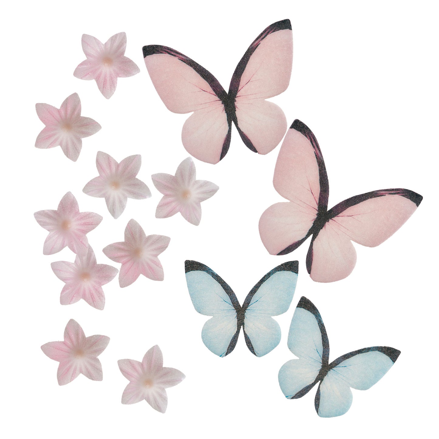 BLISTER MINI FLEURS ROSE ET PAPILLONS ROSE ET BLEU AZYME
