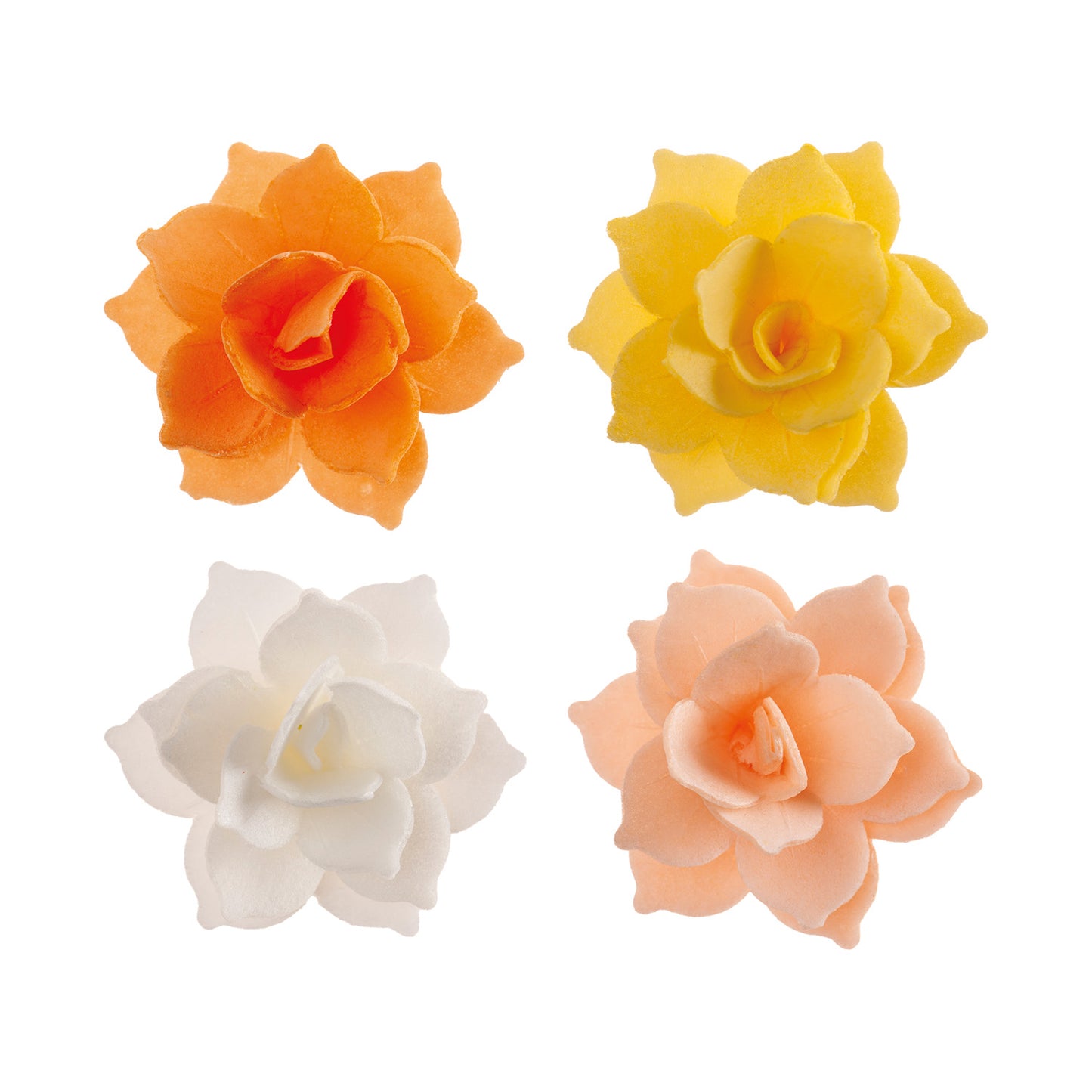 8 MINI AZYME NÉNUPHARS JAUNE/ORANGE 4.5CM