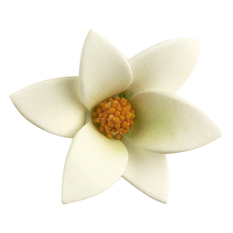 48 FLORES DE AZÚCAR BLANCAS CON CENTRO DE COLOR 6 x 2,5 CM