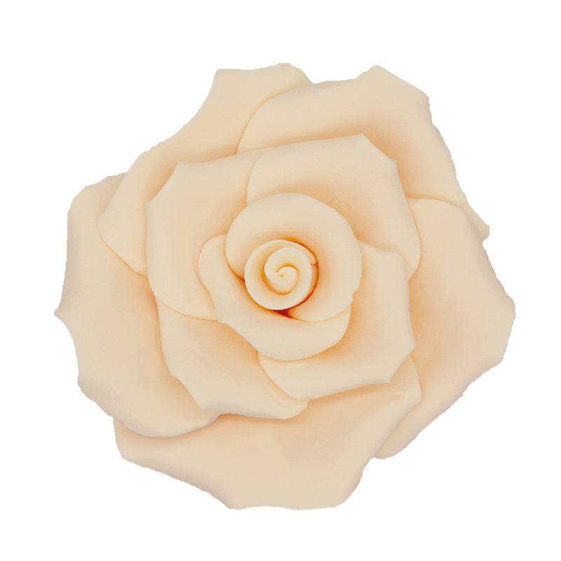 ROSE EN SUCRE IVOIRE Ø 70 MM