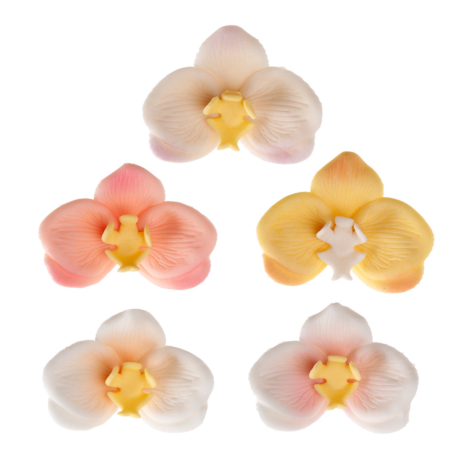 ORQUÍDEAS DE AZÚCAR 5 COLORES 7X8CM