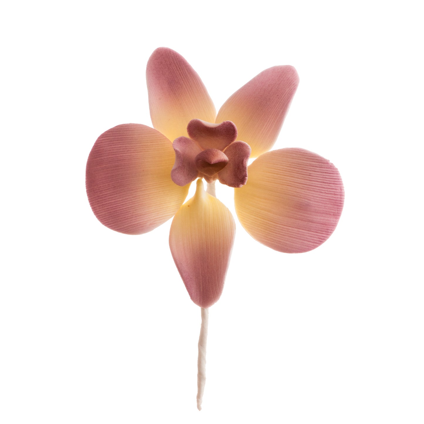 FLOR AZÚCAR ORQUÍDEAS 4 COLORES SURTIDOS 7.6 cm