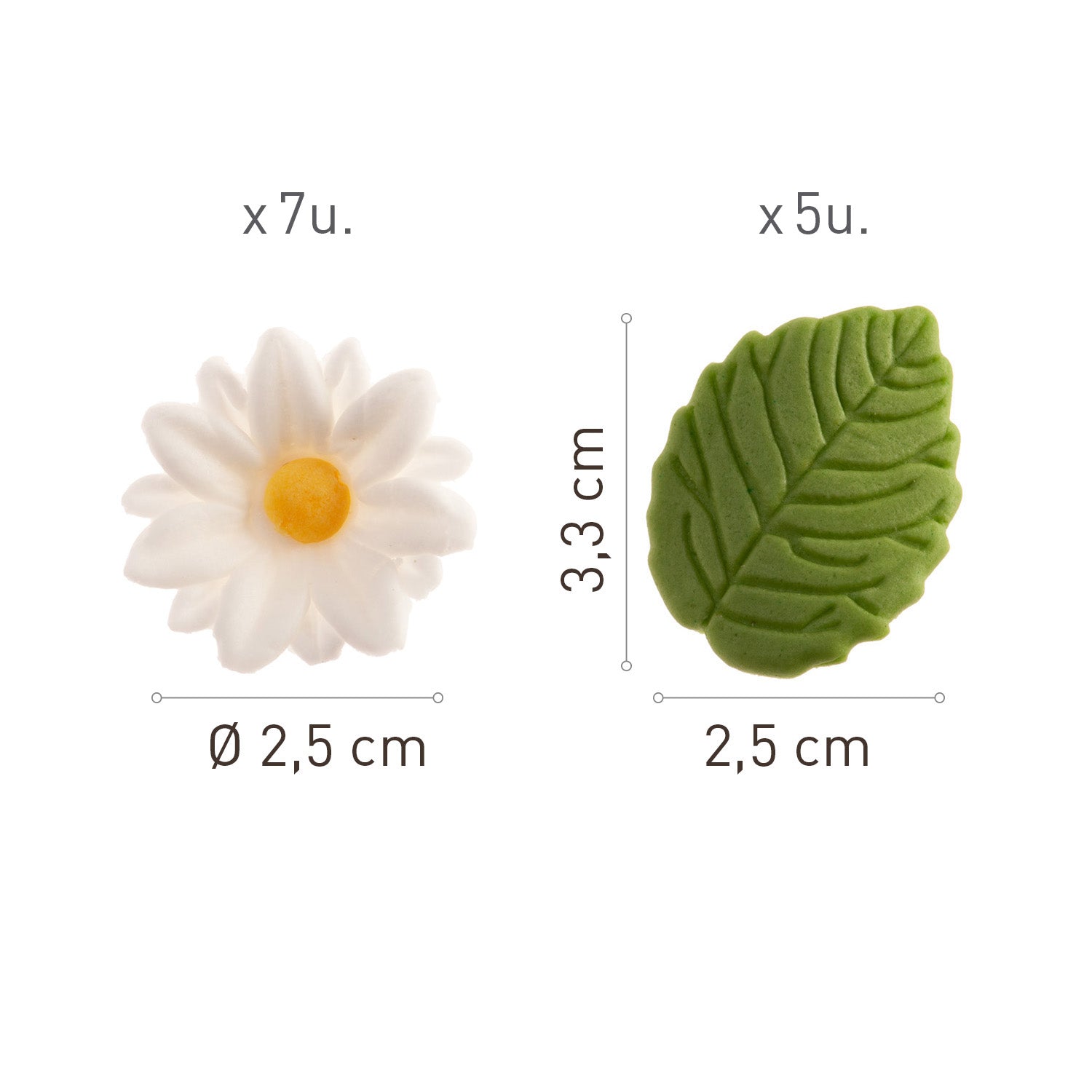 BLISTER SUGAR 7 WHITE MARGUERITES AND 5 GREEN LEAVES