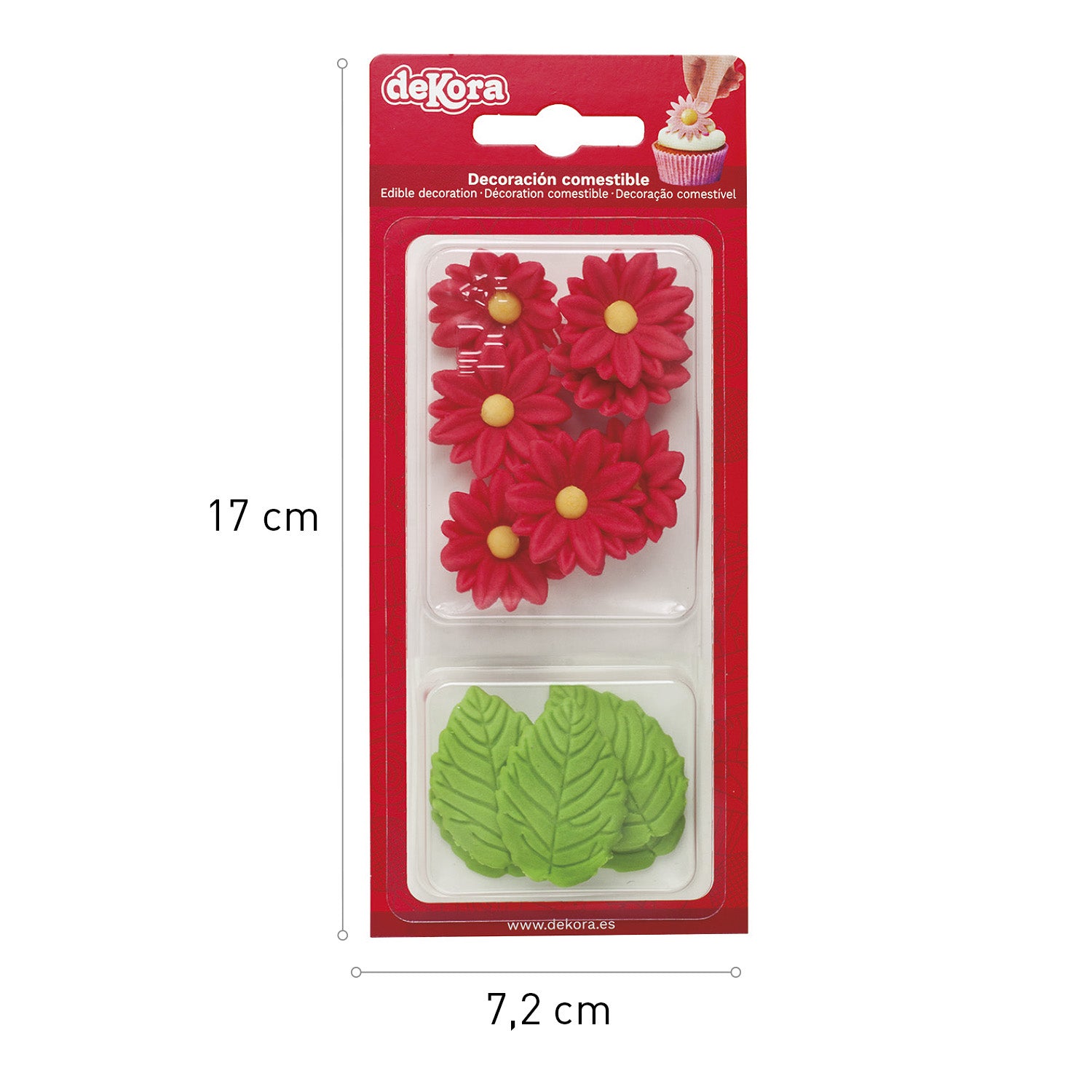 BLISTER SUCRE 7 MARGUERITES ROUGES ET 5 FEUILLES VERTES