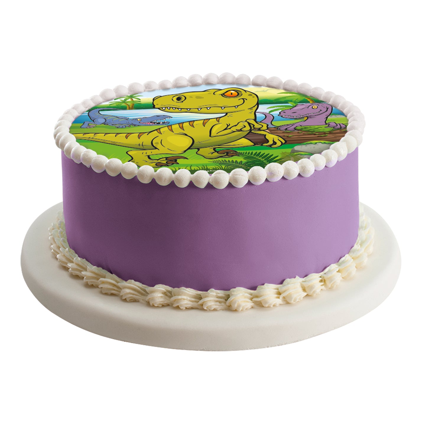 DINOSAUR CAKE DECORATING EDIBLE DISC 16 CM ZERO