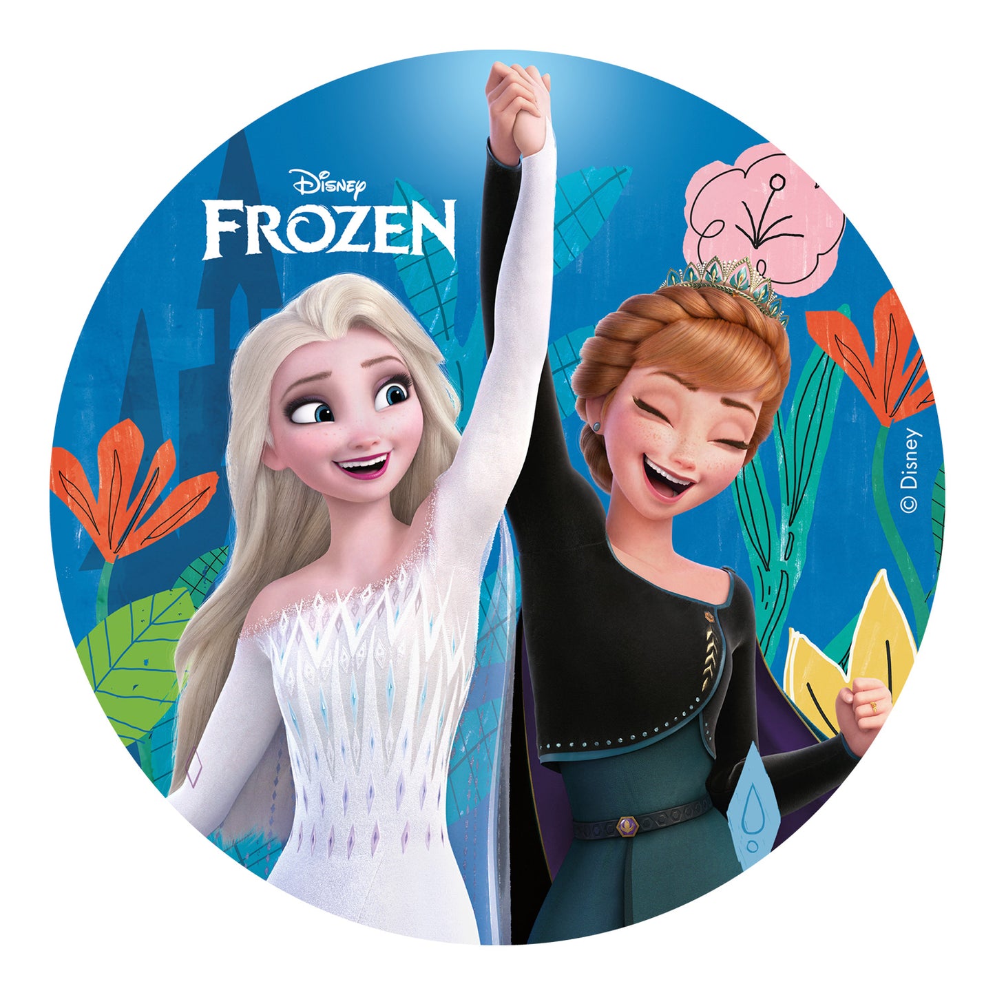 FROZEN CAKE DECORATING EDIBLE DISK ZERO Ø 15,5CM