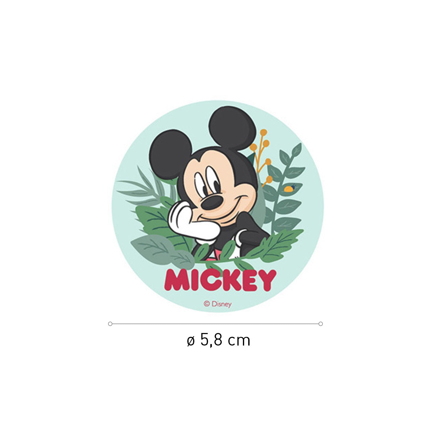 ASSORTIMENT DISQUES COMESTIBLES MICKEY & MINNIE ZERO 6U Ø 5,8CM