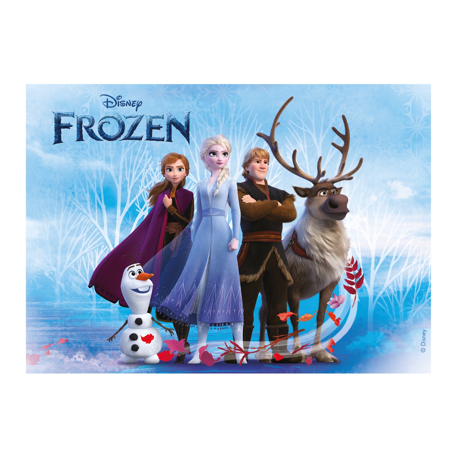 FROZEN FONDANT DECORATION CAKE 14,8X21CM