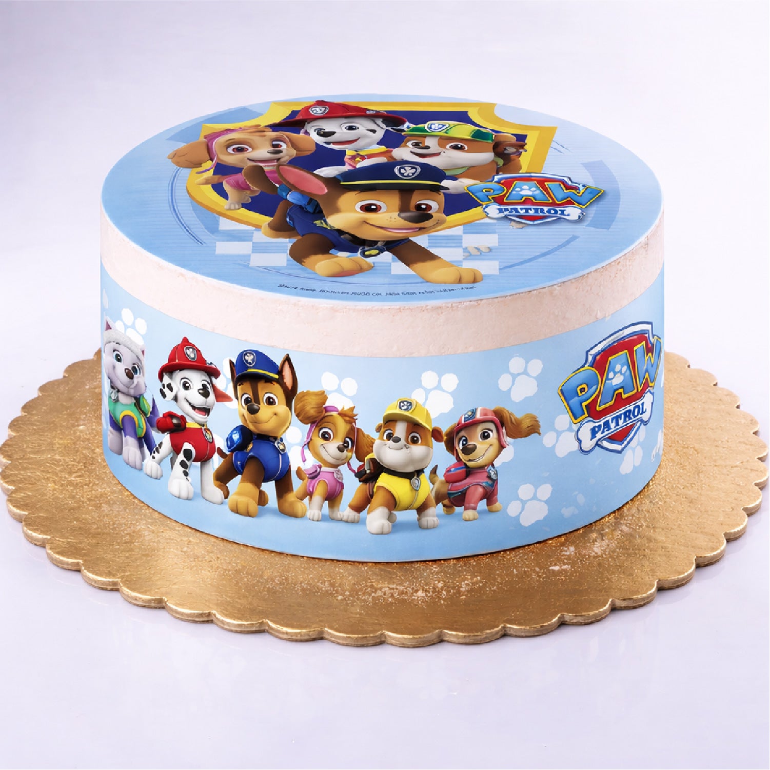 RIBBONS  FONDANT DECORAÇÃO PAW PATROL A5 14,8X21CM