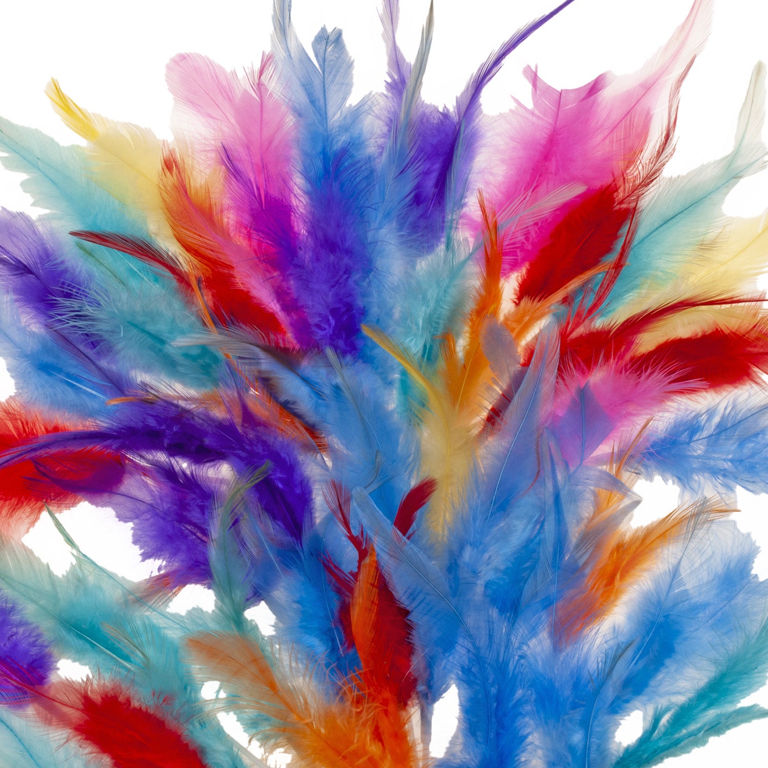 200 PLUMAS SURTIDAS 14CM