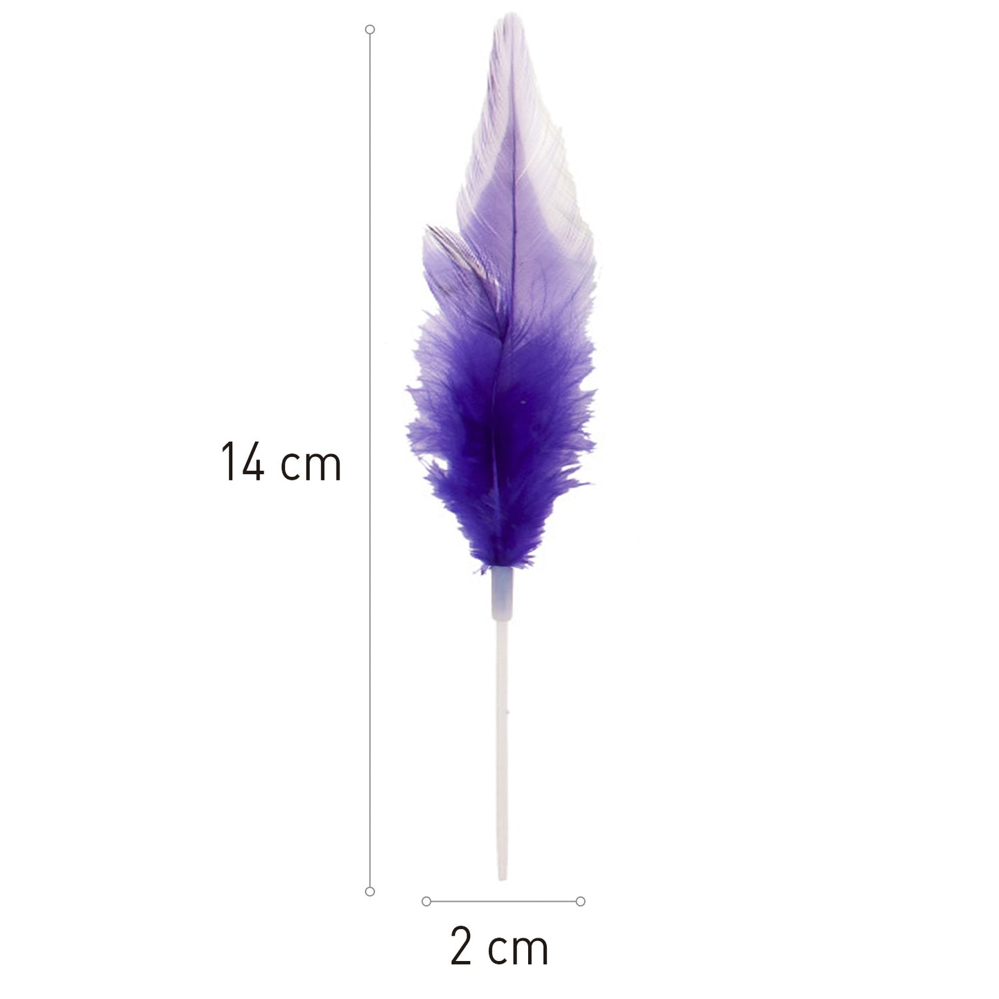 200 PLUMAS SURTIDAS 14CM