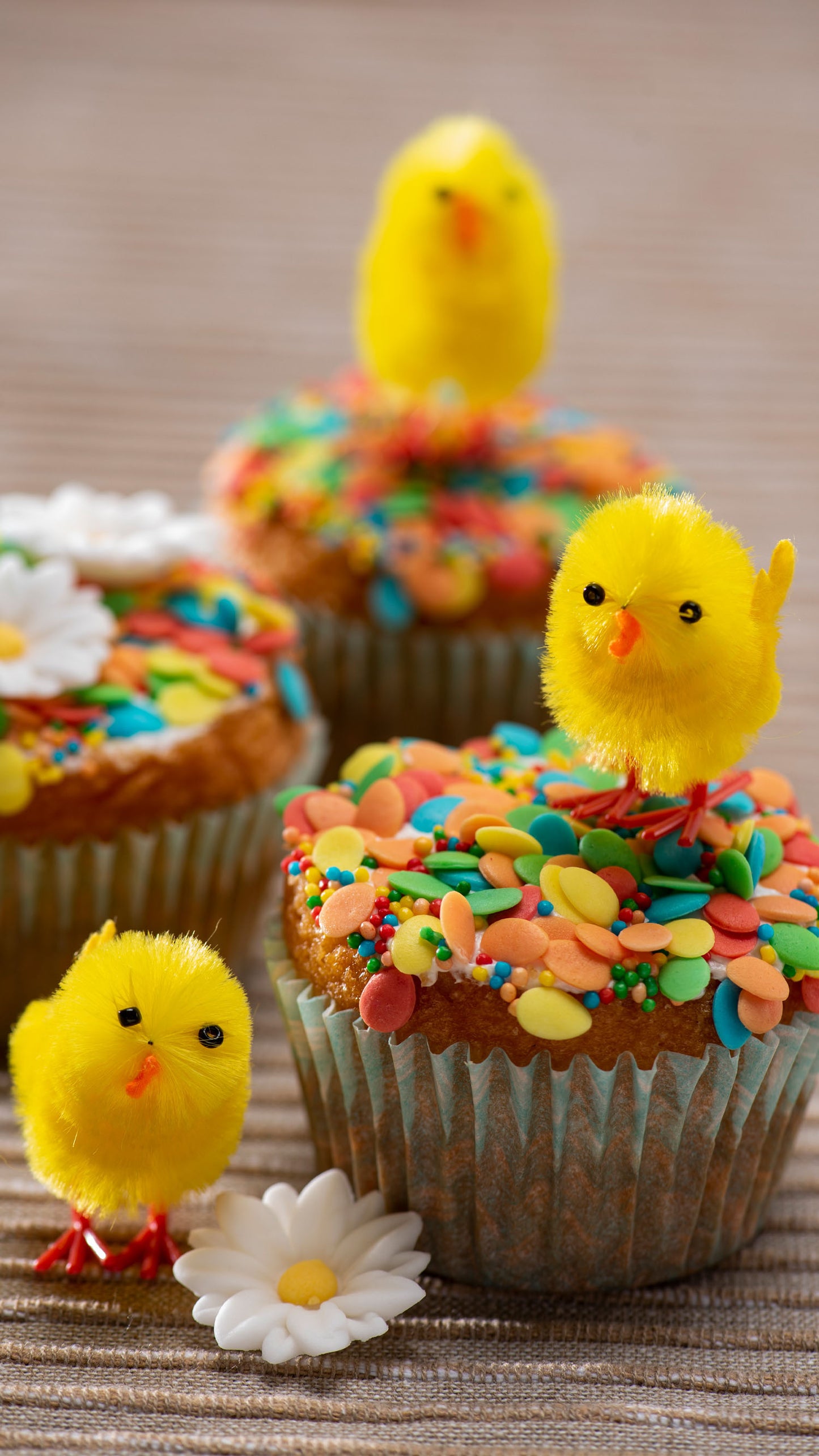 BOX OF 6 YELLOW EASTER CHICKS 2.5CM