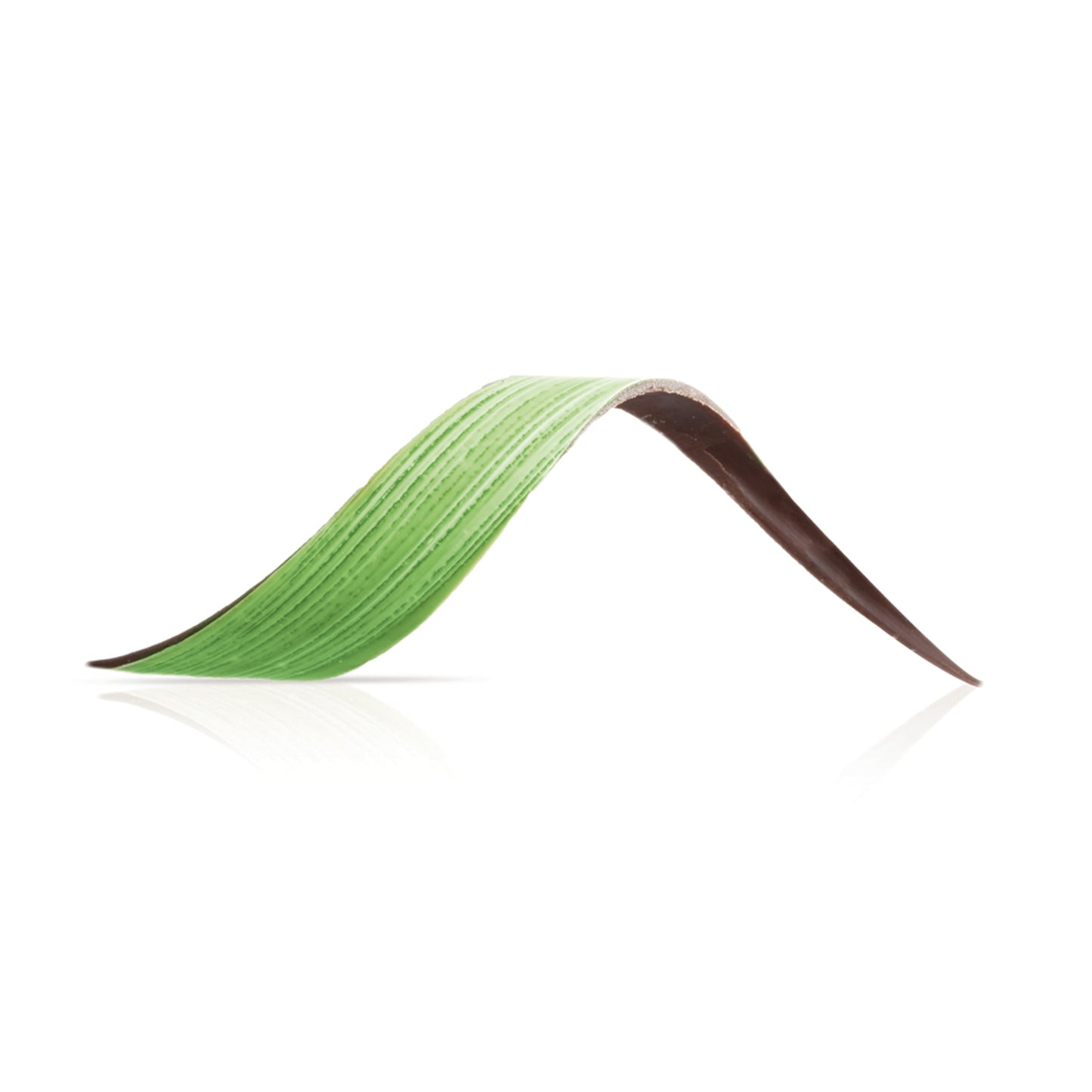 ESPIRAL VERDE DE CHOCOLATE BRANCO 8.4X3CM