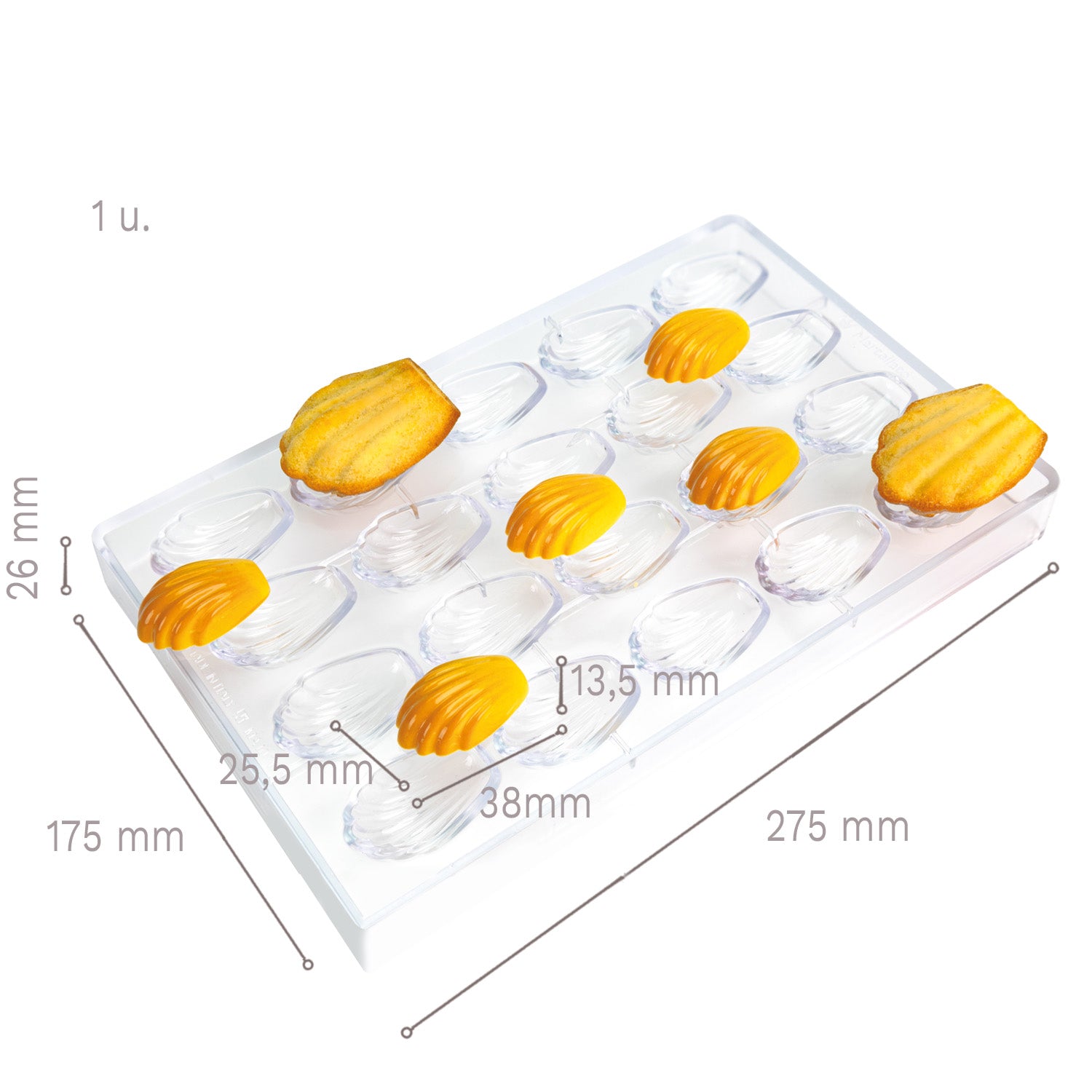 POLYCARBONATE MOULD 275 X 175 X 26 MM MADELEINE - 20 PCS