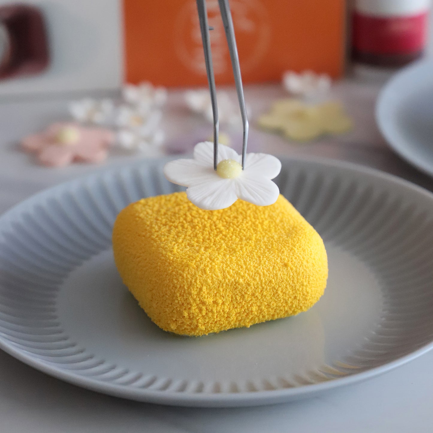 6 MOLDES BOX DIAM64X64  H35MM