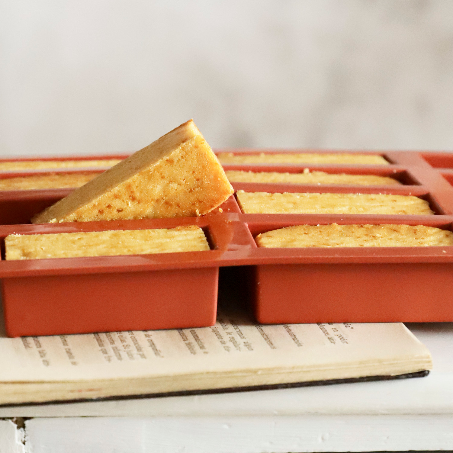 12 MOLDES CAKE 79x29x30