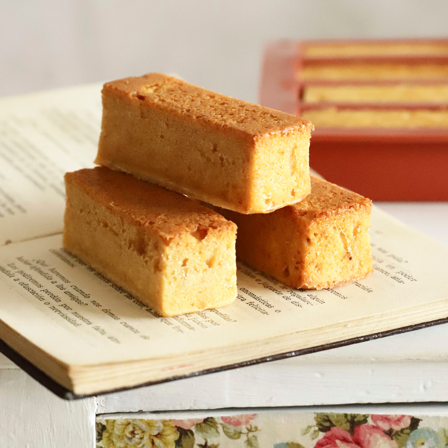 12 MOLDES CAKE 79x29x30