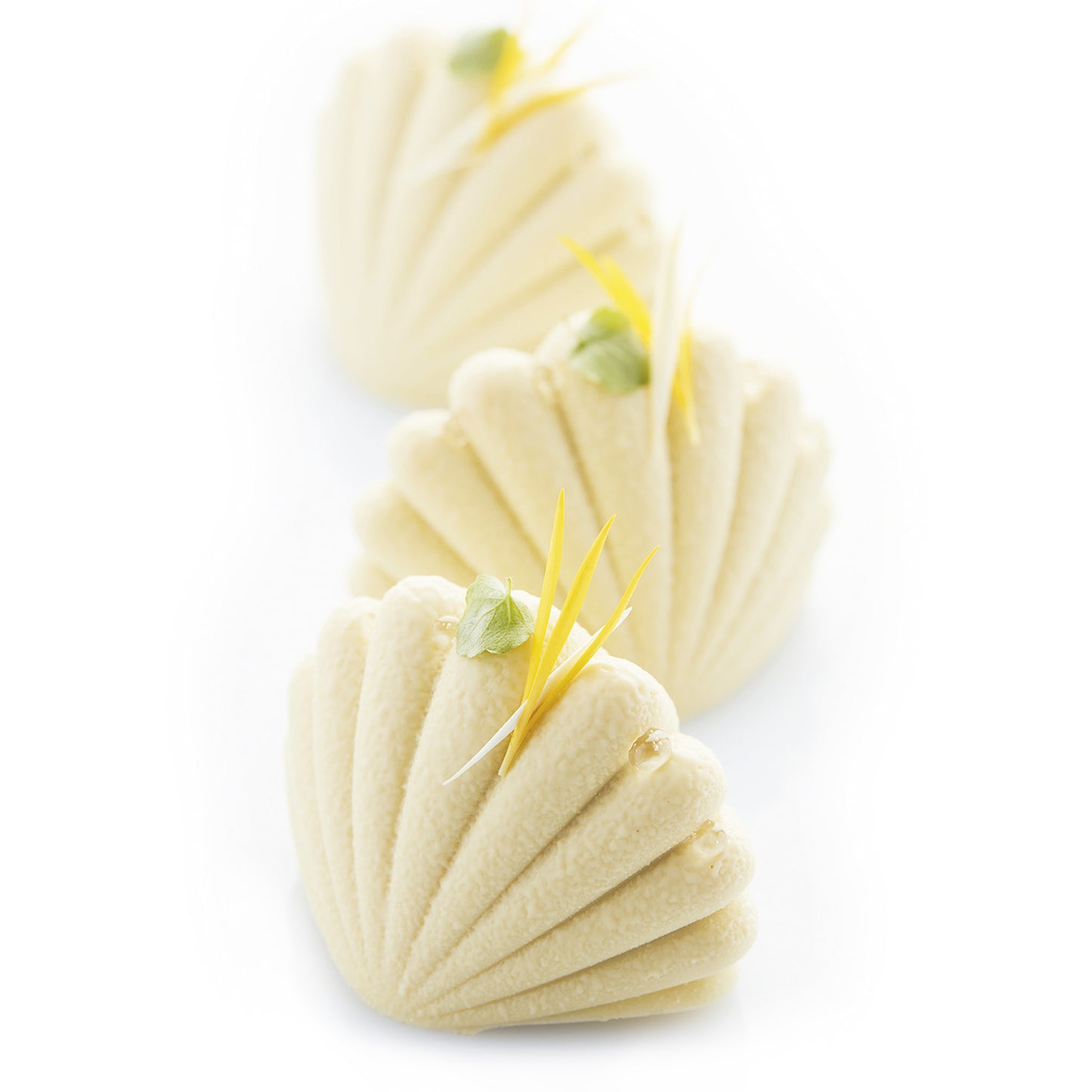 6 MOLDES CALIPSO 79X59 H 54.5 MM