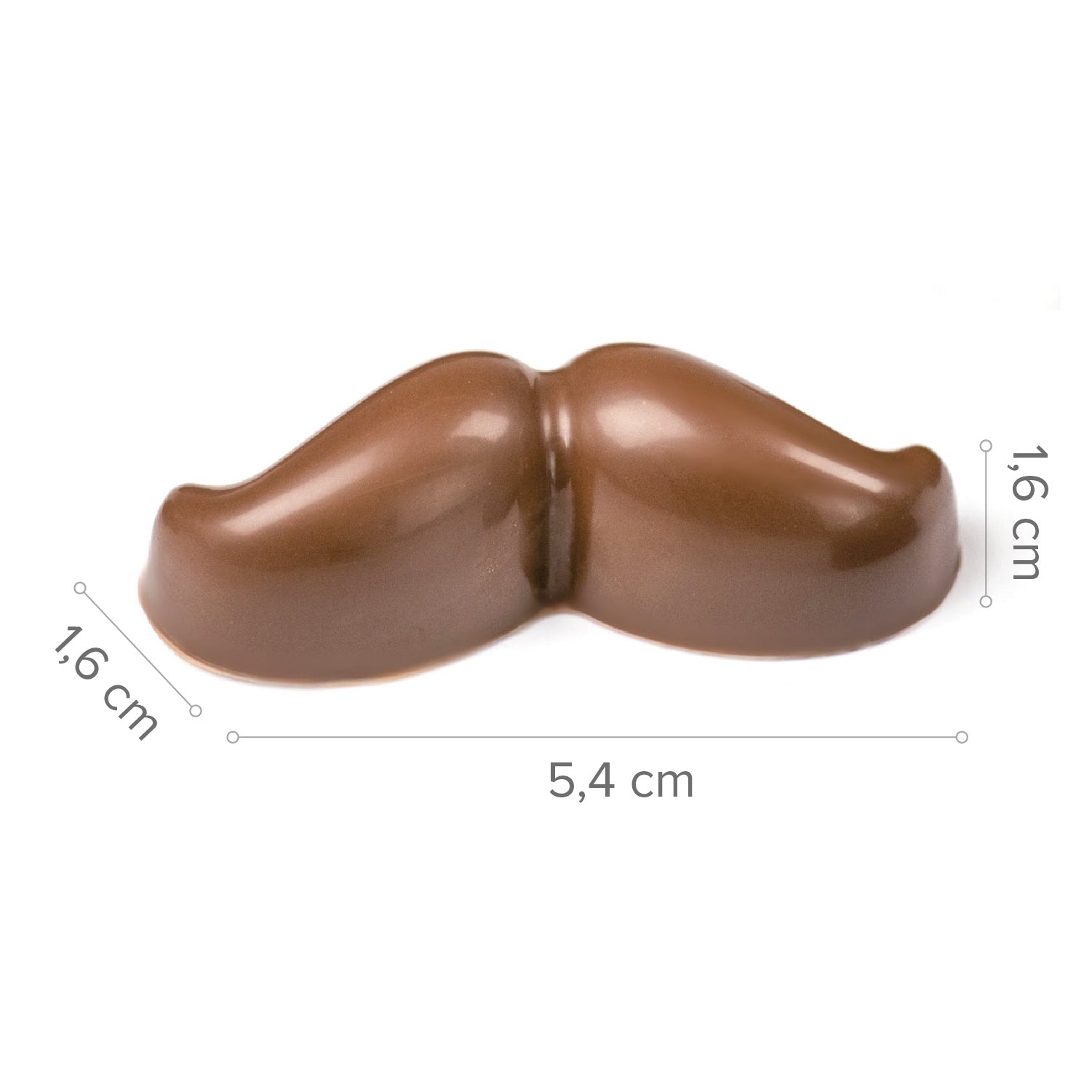 MOLDE DE BIGOTES DE POLICARBONATO - 16 PEÇAS - 275 x 175 x 2