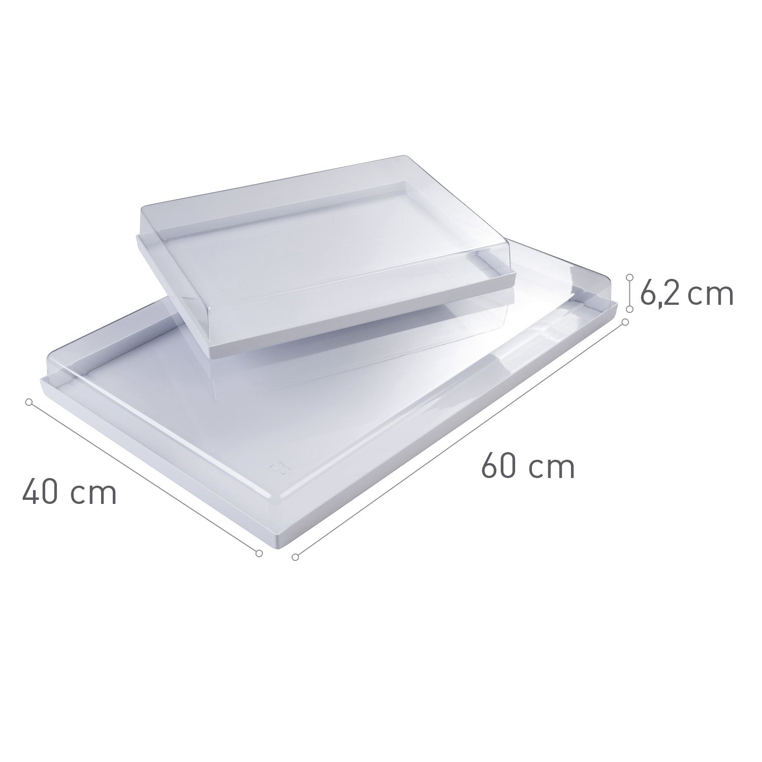 BANDEJA+TAPADERA PLASTICO 60X40X6.2CM