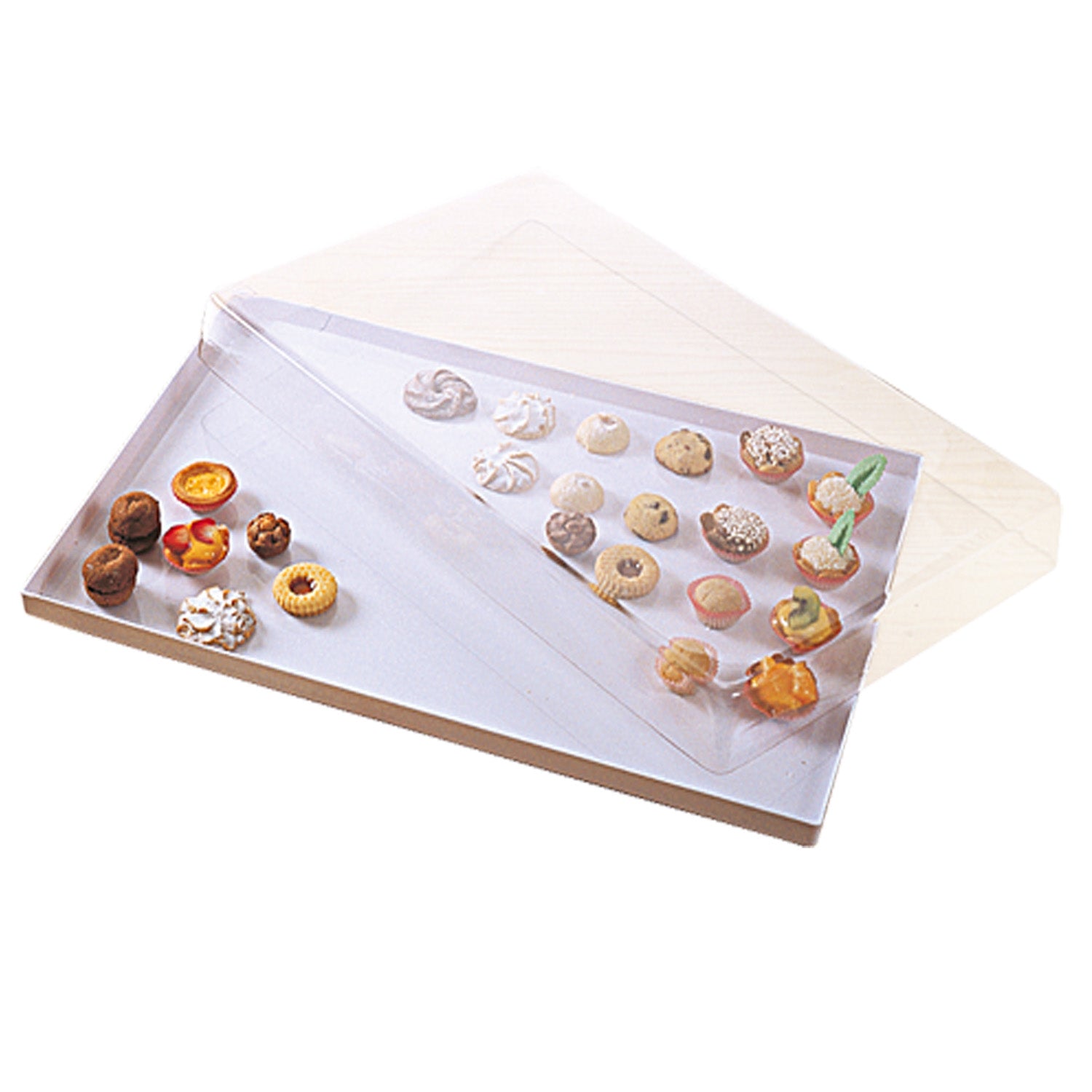 CUBIERTA DE PLÁSTICO TRANSPARENTE 59 x 39 x 6 CM